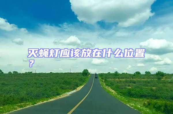 滅蠅燈應該放在什么位置？