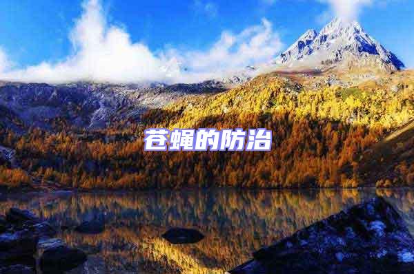蒼蠅的防治