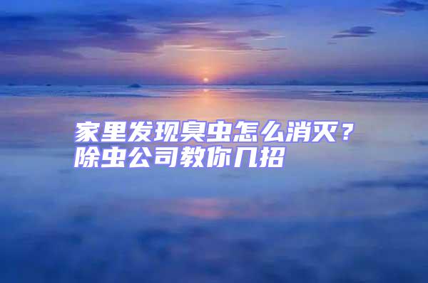 家里發現臭蟲怎么消滅？除蟲公司教你幾招