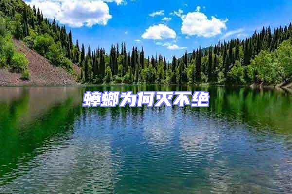 蟑螂為何滅不絕