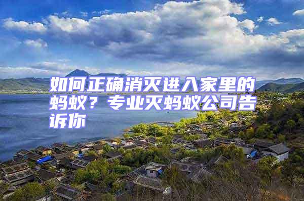 如何正確消滅進入家里的螞蟻？專業滅螞蟻公司告訴你