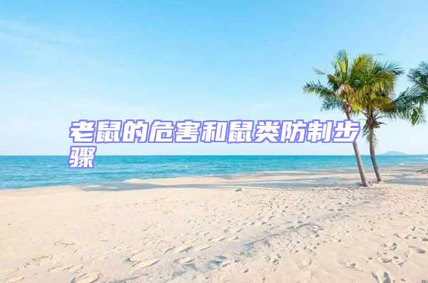 老鼠的危害和鼠類防制步驟
