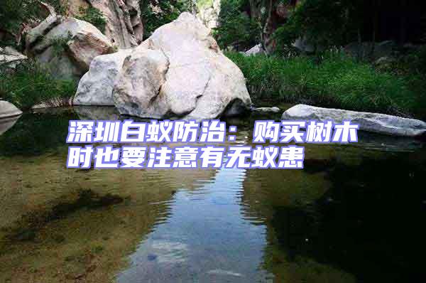 深圳白蟻防治：購買樹木時也要注意有無蟻患