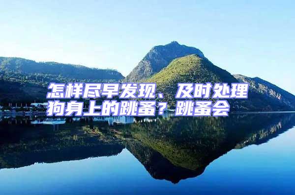 怎樣盡早發現、及時處理狗身上的跳蚤？跳蚤會