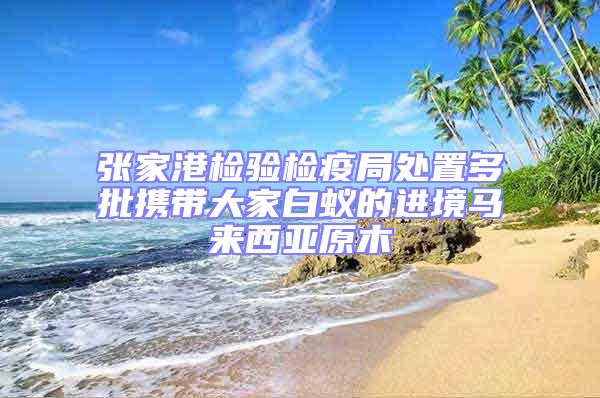 張家港檢驗檢疫局處置多批攜帶大家白蟻的進境馬來西亞原木