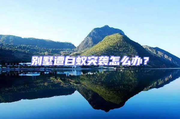 別墅遭白蟻突襲怎么辦？