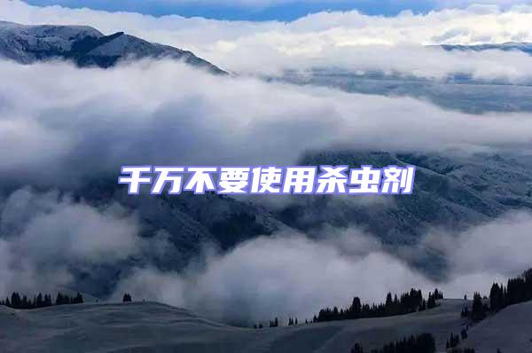 千萬不要使用殺蟲劑