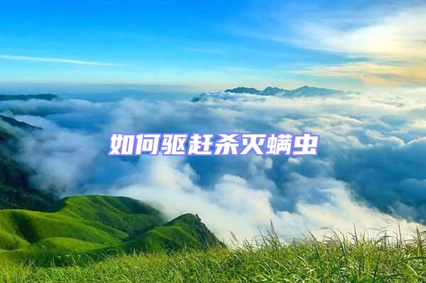 如何驅趕殺滅螨蟲