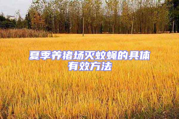夏季養豬場滅蚊蠅的具體有效方法