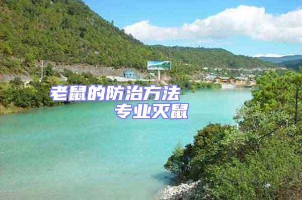 老鼠的防治方法      專業滅鼠
