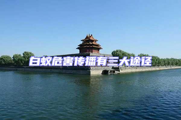 白蟻危害傳播有三大途徑
