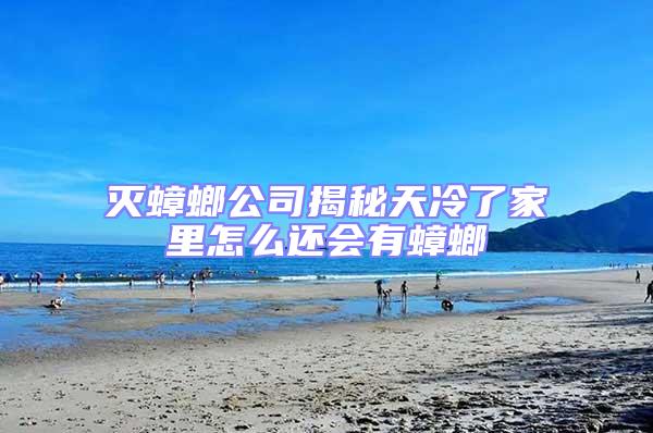 滅蟑螂公司揭秘天冷了家里怎么還會有蟑螂