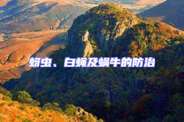 蚜蟲、白蠅及蝸牛的防治