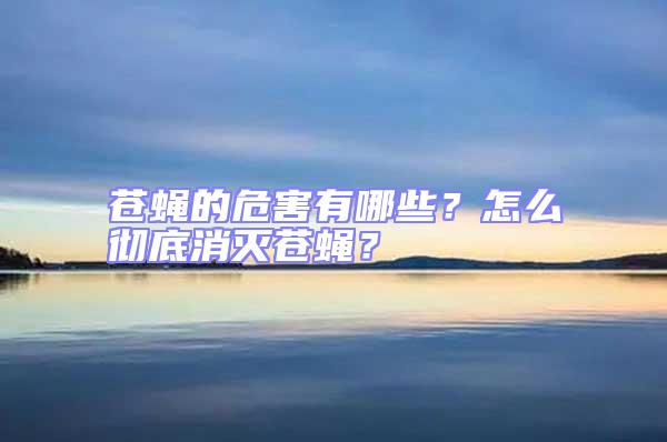 蒼蠅的危害有哪些？怎么徹底消滅蒼蠅？
