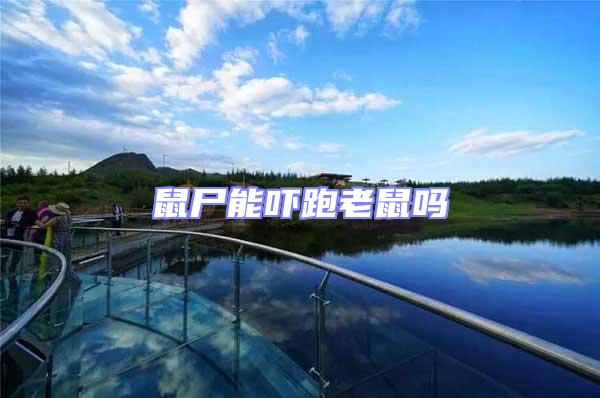 鼠尸能嚇跑老鼠嗎