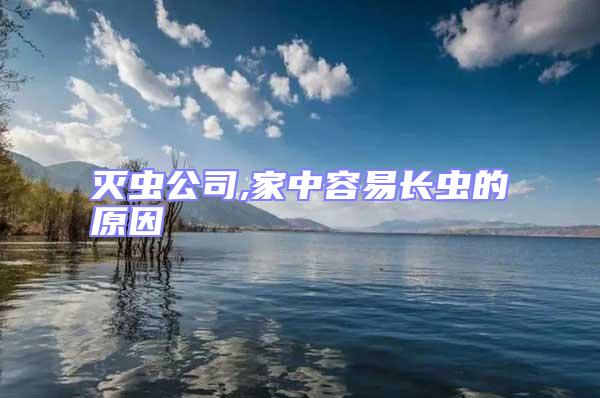 滅蟲公司,家中容易長蟲的原因