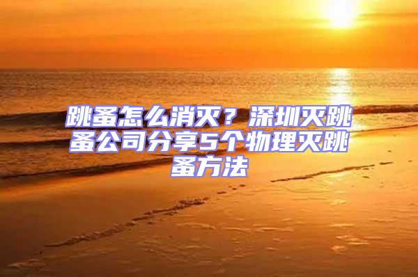 跳蚤怎么消滅？深圳滅跳蚤公司分享5個(gè)物理滅跳蚤方法