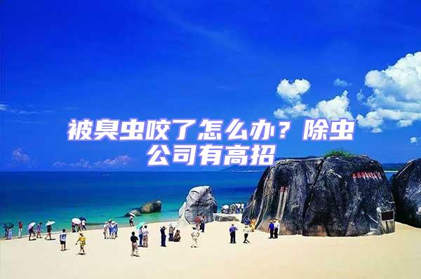 被臭蟲咬了怎么辦？除蟲公司有高招
