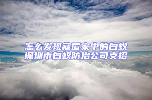 怎么發現藏匿家中的白蟻深圳市白蟻防治公司支招