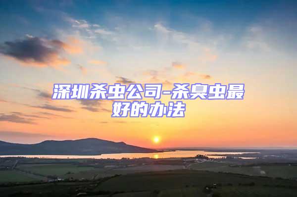 深圳殺蟲公司-殺臭蟲最好的辦法