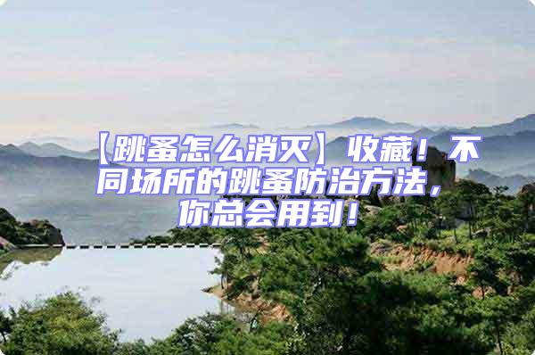 【跳蚤怎么消滅】收藏！不同場所的跳蚤防治方法，你總會用到！