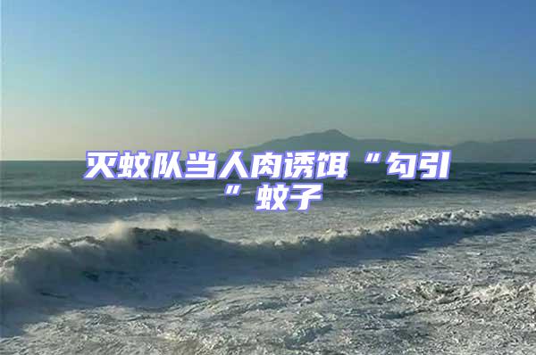 滅蚊隊當人肉誘餌“勾引”蚊子