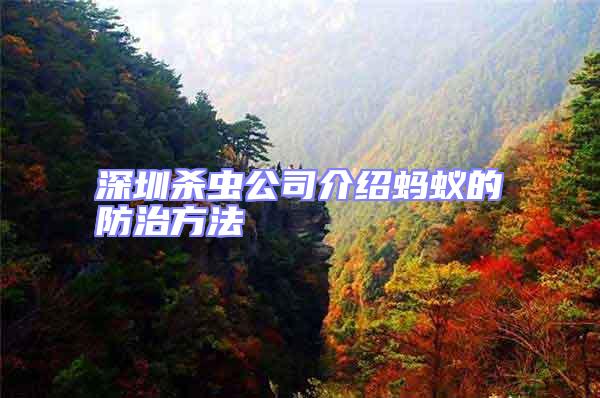 深圳殺蟲公司介紹螞蟻的防治方法