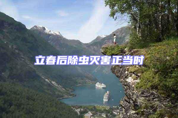 立春后除蟲(chóng)滅害正當(dāng)時(shí)