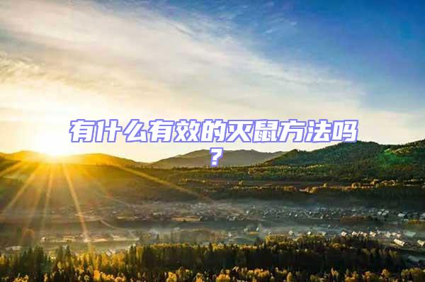 有什么有效的滅鼠方法嗎？
