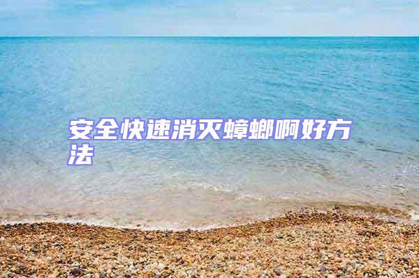 安全快速消滅蟑螂啊好方法