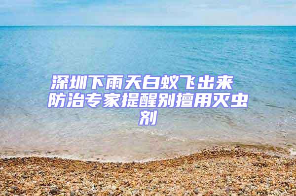 深圳下雨天白蟻飛出來 防治專家提醒別擅用滅蟲劑