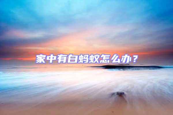 家中有白螞蟻怎么辦？