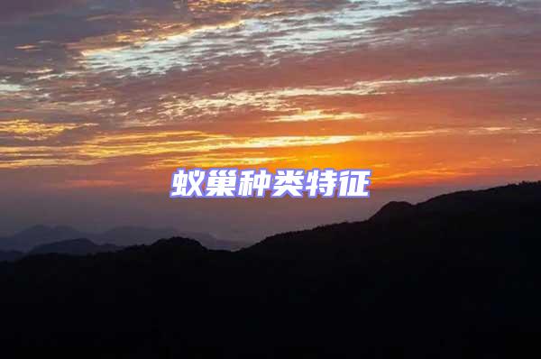 蟻巢種類特征