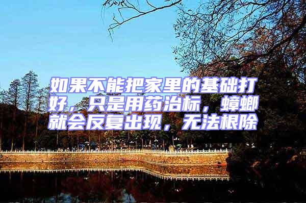 如果不能把家里的基礎打好，只是用藥治標，蟑螂就會反復出現，無法根除