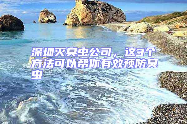 深圳滅臭蟲公司，這3個方法可以幫你有效預防臭蟲