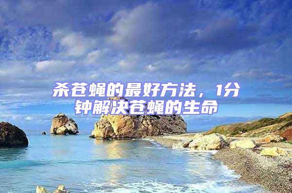 殺蒼蠅的最好方法，1分鐘解決蒼蠅的生命