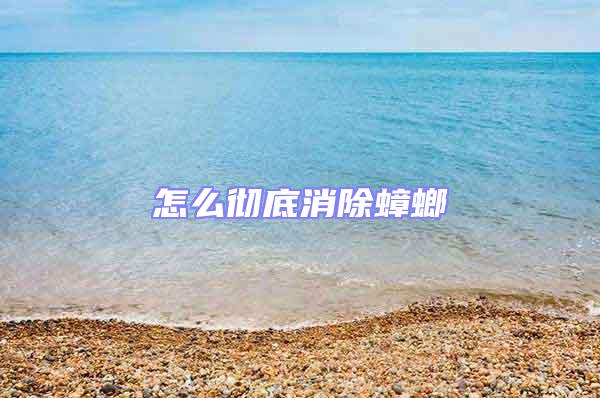 怎么徹底消除蟑螂