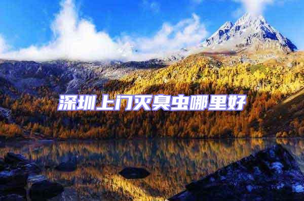 深圳上門滅臭蟲哪里好