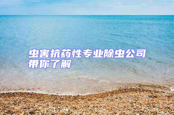蟲害抗藥性專業(yè)除蟲公司帶你了解
