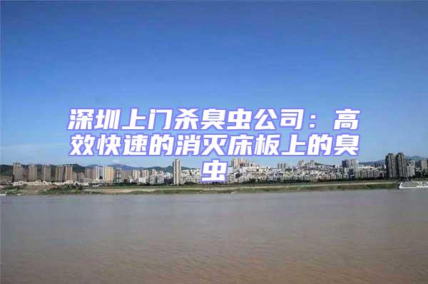 深圳上門殺臭蟲公司：高效快速的消滅床板上的臭蟲