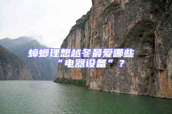蟑螂理想越冬最愛哪些“電器設備”？