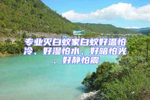 專業滅白蟻家白蟻好溫怕冷、好濕怕水、好暗怕光、好靜怕震