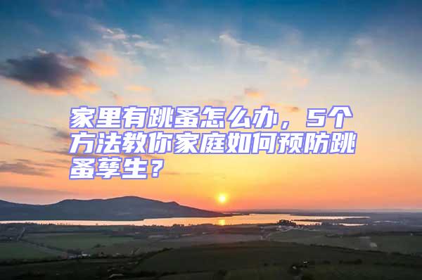 家里有跳蚤怎么辦，5個方法教你家庭如何預防跳蚤孳生？