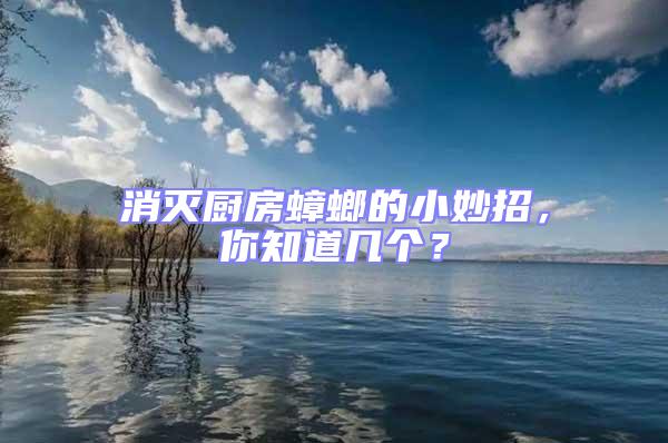 消滅廚房蟑螂的小妙招，你知道幾個？