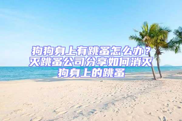 狗狗身上有跳蚤怎么辦？滅跳蚤公司分享如何消滅狗身上的跳蚤