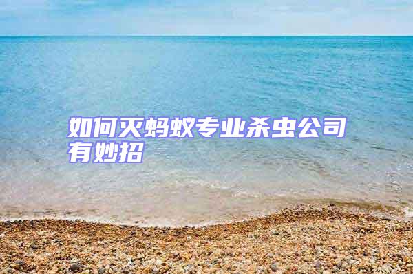 如何滅螞蟻專業殺蟲公司有妙招