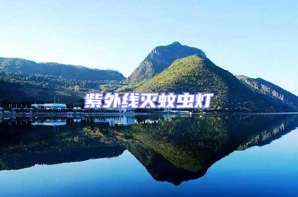 紫外線滅蚊蟲燈