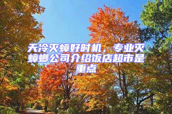 天冷滅蟑好時機(jī)，專業(yè)滅蟑螂公司介紹飯店超市是重點