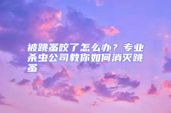 被跳蚤咬了怎么辦？專業殺蟲公司教你如何消滅跳蚤