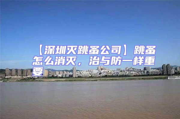 【深圳滅跳蚤公司】跳蚤怎么消滅，治與防一樣重要